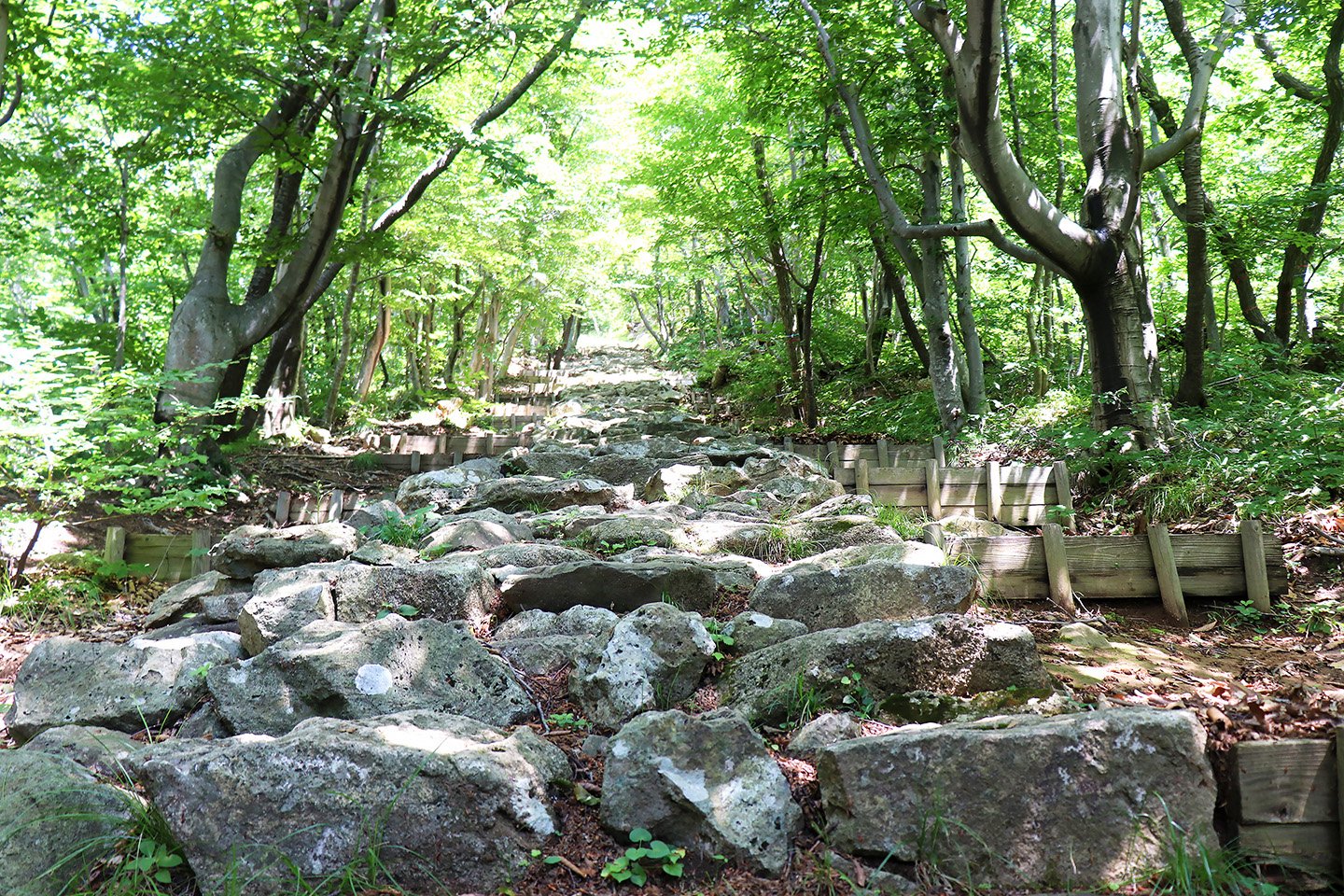 ⛩️ 아카가미 신사 고샤도(아카가미진자 고샤도)